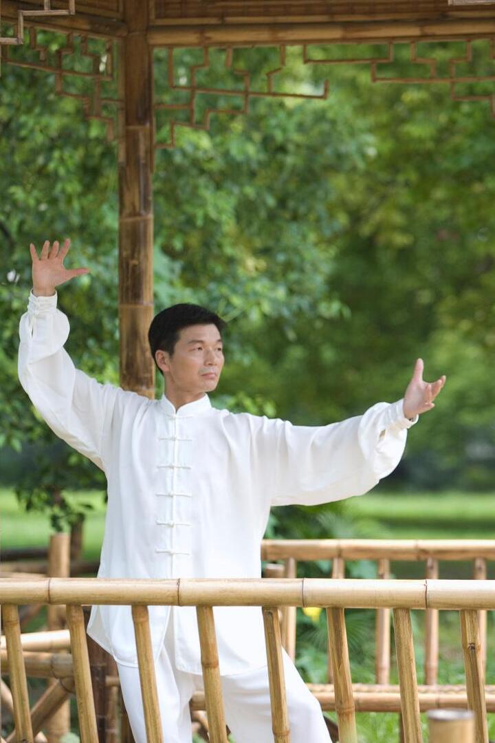 chang style tai chi